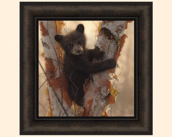 Curious Cub I by Collin Bogle 16x16 Black Bear Cub Sitting in Tree Baby Framed Art Print Picture