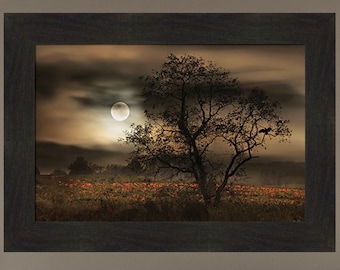 Cuando las calabazas brillan a la luz de la luna por Lori Deiter 16x22 Halloween otoño calabaza luna llena Cuervo cuervo enmarcado arte cuadro hogar cabina decoración