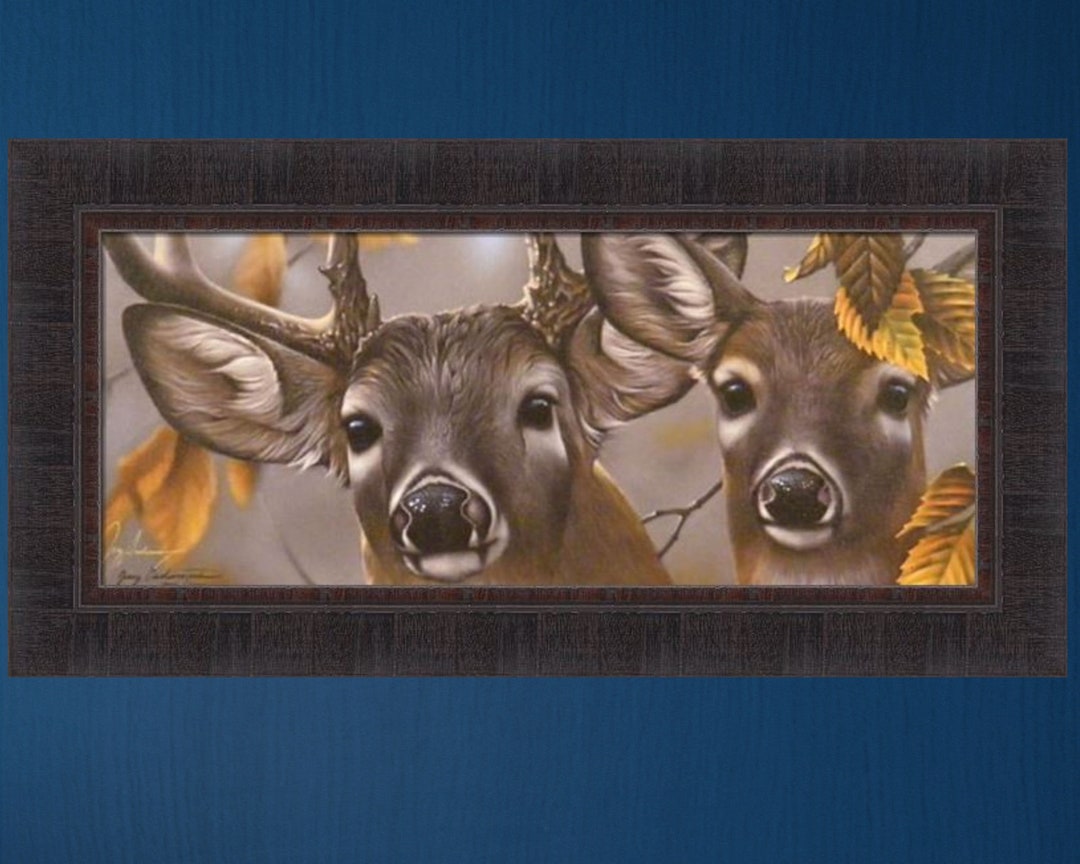 Up Close and Curious by Jerry Gadamus 15x29 Whitetail Deer Buck Doe