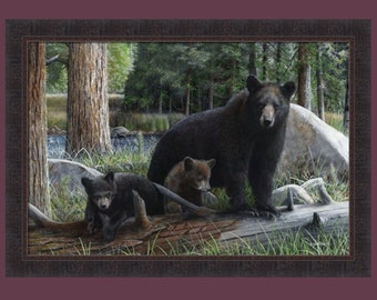 New Discoveries by Kevin Daniel 29x41 Black Bears Bear Cubs Forest Wildlife Framed Art Print Wall Décor Picture