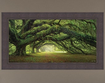 Passage by Moises Levy 24x42 Avenue of Oaks Charleston SC Plantation Trees Spanish Moss Tree Tunnel Photo Framed Art Print Picture