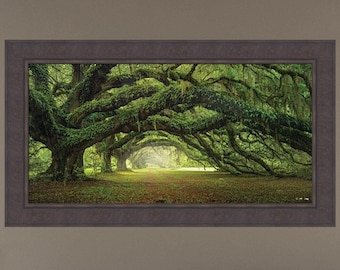 Passage by Moises Levy 24x42 Avenue of Oaks Charleston SC Plantation Trees Spanish Moss Tree Tunnel Photo Framed Art Print Picture