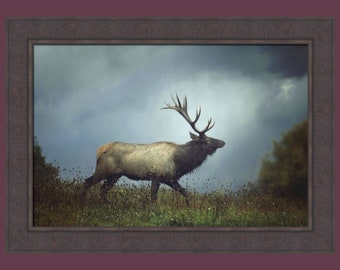 The Elk de Carrie Ann Grippo-Pike 26x36 Bull Elk Beautiful Nature Wildlife Imagen enmarcada grande