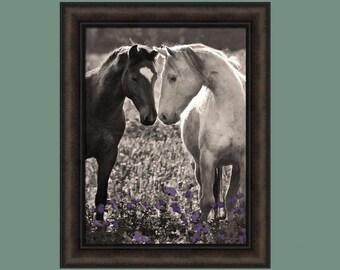 Face To Face by Sally Linden 19x24 Two Horses Sweet Horse Flowers Purple Flower Black And White Framed Art Print Picture