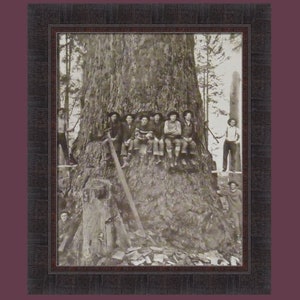 We Need A Bigger Saw 21x25 Black & White Old Time Photography Vintage Logging Photo Framed Art Print Wall Décor Picture