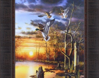 Evening Splendor by Jim Hansel 17x21 Mallard Duck Ducks Waterfowl