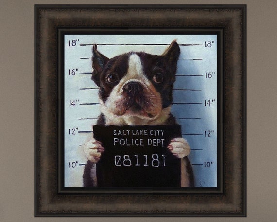 Mug Shot by Lucia Heffernan 16x16 Boston Terrier Naughty Dog -  Norway