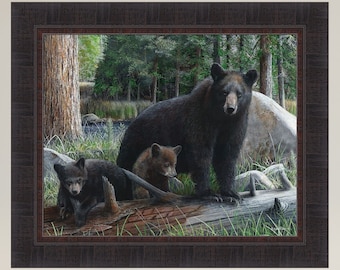 New Discoveries by Kevin Daniel 20x24 Black Bear Mama Cubs Framed Art Print Picture