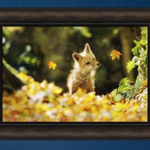 Falling Leaves by Carrie Ann Grippo-Pike 16x22 Cute Fox Kit Leaf Autumn Fall Framed Art Wall Décor Picture image 1