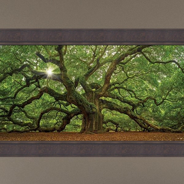 The Tree by Moises Levy 24x42 Southern Angel Oak Charleston SC Spanish Moss Ferns Photograph Framed Art Print Picture