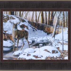 May include: A white-tailed deer stands in a snowy stream, surrounded by trees and snow-covered rocks. The deer has large antlers and brown fur. The stream is flowing through a wooded area, and the snow is covering the ground.