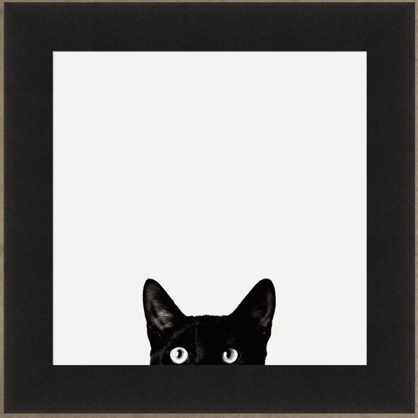 Curiosity by Jon Bertelli 19x19 Black & White Cat Peeking Kitten Pet Framed Art Print Picture