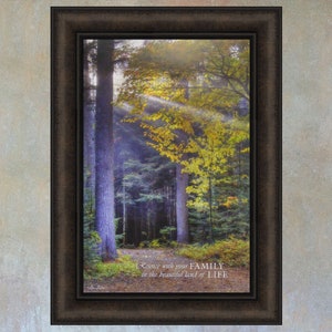 May include: Framed print of a forest scene with sunbeams shining through the trees. The text "Reunice with your FAMILY in the beautiful land of LIFE" is at the bottom of the print.
