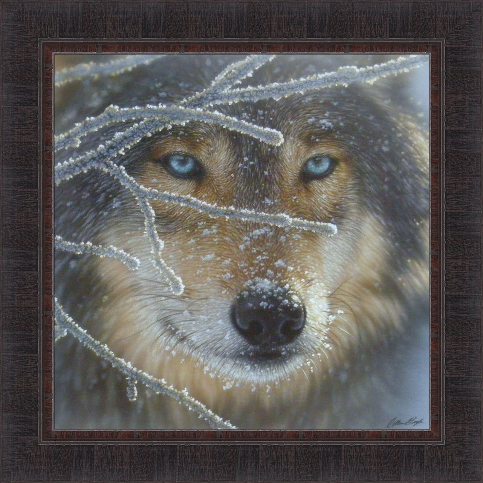 Collin Bogle Wolves Fire in Ice by Collin Bogle 23x23 Wolf Timberwolf Closeup Face Frosty ...