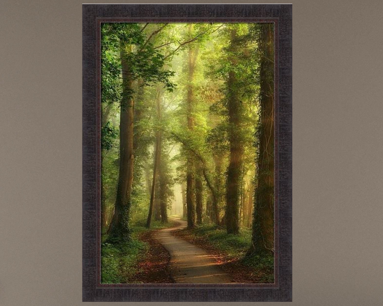 Cuadro numerado para pintar Walk in the Forest - Wooden Path Among