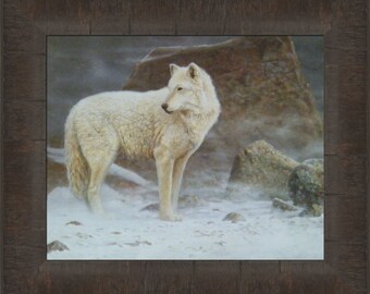 High Arctic Wolf by Scott Zoellick 12x14 Wildlife White Wolf