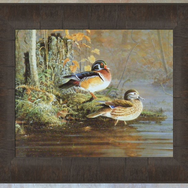 Island Woodie by Scott Zoellick 12x14 Woodduck Wood Duck Ducks Wildlife Framed Art Print Picture