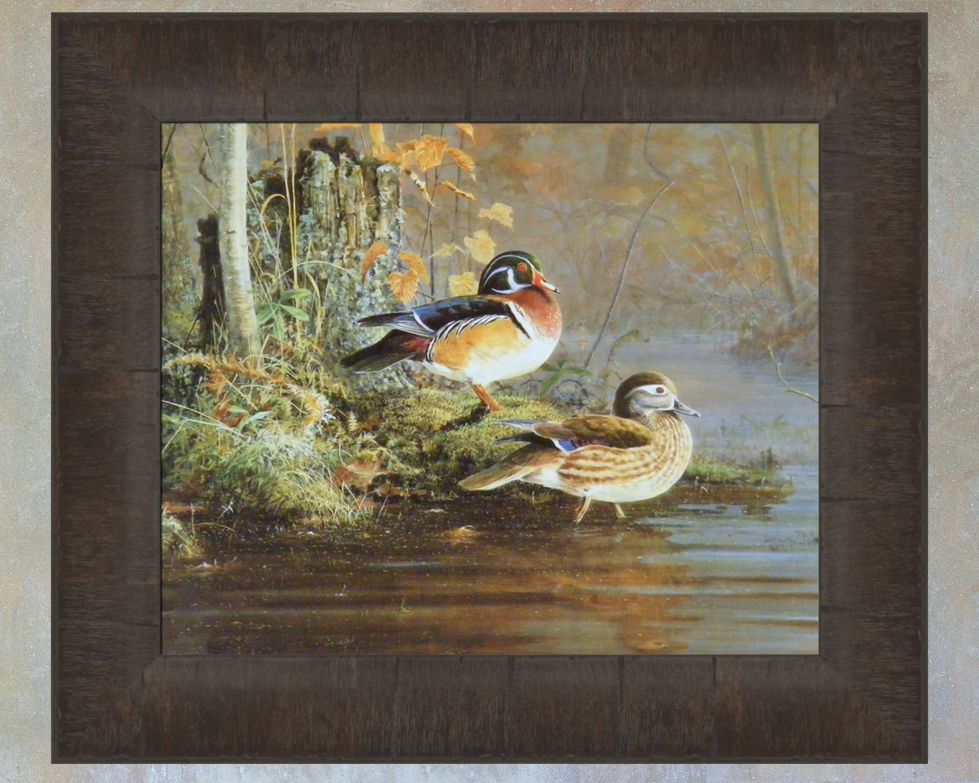 Island Woodie by Scott Zoellick 12x14 Woodduck Wood Duck Ducks