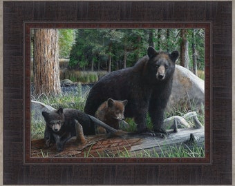 New Discoveries by Kevin Daniel 17x21 Black Bear Cub Cubs Bears Art For Home Cabin Resort Lodge Man Cave Framed Art Wall Décor Picture