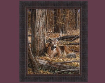 Bedding Down by Kevin Daniel 20x24 Whitetail Deer Buck Woods Framed Art Print Picture