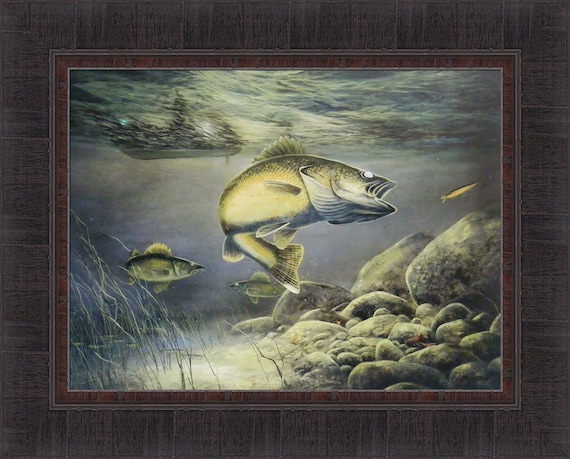 Taking the Bait by Jim Hansel 17x21 Fish Walleye Fishing Framed