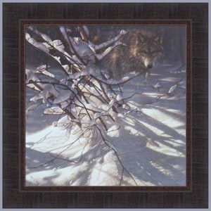 May include: A wolf is partially hidden in a snowy bush, with its head and shoulders visible. The wolf is looking directly at the viewer. The background is a snowy forest with long shadows.