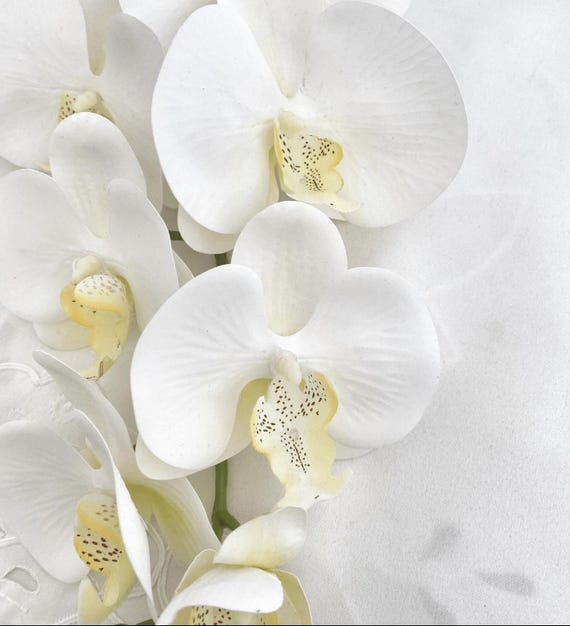Knstliche Orchideenblume Geschenk fr Sie, echte Orchideen, weie Orchidee  Phalaenopsis, knstliche Orchideenstamm-Kunstblumen weie Blumen