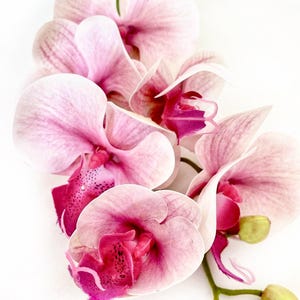 Artificial Orchid, Real Touch Orchids, Variegated Pink Orchid, Phalaenopsis Orchid Flower Artificial Flowers Pink Flowers, Gift for Her
