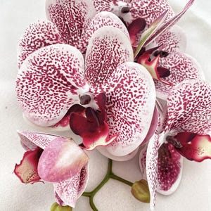 Orchidée artificielle, orchidée tachetée rose magenta, fleurs roses, cadeau de fleurs pour elle, fleurs artificielles, orchidées véritables fleurs d'orchidées
