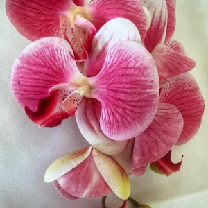 Artificial Orchid, Flowers Gift for Her, Real Touch Orchids, Pink Orchid Phalaenopsis, Artificial Flowers Faux Orchid, Pink Flowers, Wedding