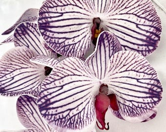 Artificial Orchid, Purple Striped Orchid, Flowers Gift for Her, Real Look Orchids, Phalaenopsis, Faux Orchid Flower