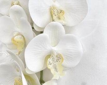 Artificial Orchid Flower Gift for Her, Real Look Orchids, White Orchid Phalaenopsis, Faux Orchid Stem Artificial Flowers White Flowers