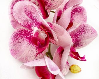 Artificial Pink Orchid Stem, Pink Flowers, Real Touch Orchids, Faux Orchid