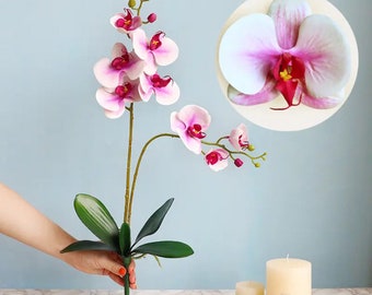 Orchidée rose artificielle, plante d'orchidée, orchidée rose et feuilles pour plante d'orchidée, fleurs roses, cadeau pour elle, fleurs artificielles, faux look