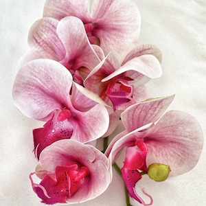 Artificial Orchid, Real Touch Orchids, Variegated Pink Orchid, Phalaenopsis Orchid Flower Artificial Flowers Pink Flowers, Gift for Her