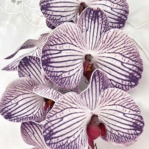 Artificial Orchid, Purple Striped Orchid, Flowers Gift for Her, Real Look Orchids, Phalaenopsis, Faux Orchid Flower