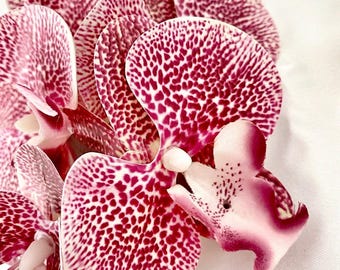 Artificial Dark Pink Orchid Flower, Real Look Orchids, Spotted Orchid Stem, Pink Flowers*