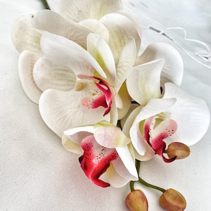 Artificial Orchid Flower Gift for Her, Real Touch Orchids, White & Pink Orchid Stem, Phalaenopsis, Faux Orchid, Artificial White Flowers