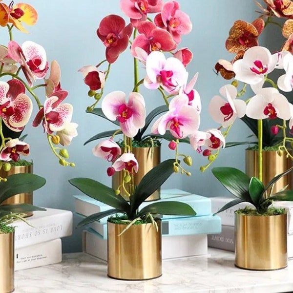 Künstliche Orchidee, Machen Sie Ihre eigene Orchideenpflanze, Geschenk für Sie, mit Blättern, Real Look Orchideen Faux Orchidee Phalaenopsis. Topf nicht enthalten.