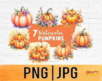 Watercolor Pumpkin Clipart Bundle, Autumn Harvest PNG JPG (Digital Download)