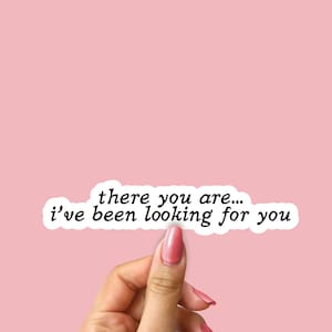 There You Are I&#39;ve Been Looking fo You book sticker, bookish sticker, kindle sticker, laptop sticker, ACOTAR, romantasy book merch