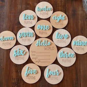 Rastreador de hitos del bebé / Tarjetas de hitos mensuales del bebé de 1 a 12 / Discos de hitos mensuales de madera / Letreros de mes personalizados para bebé acrílico / Hola