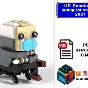 PDF Download (NO BRICKS!): Senator at Inauguration Day 2021