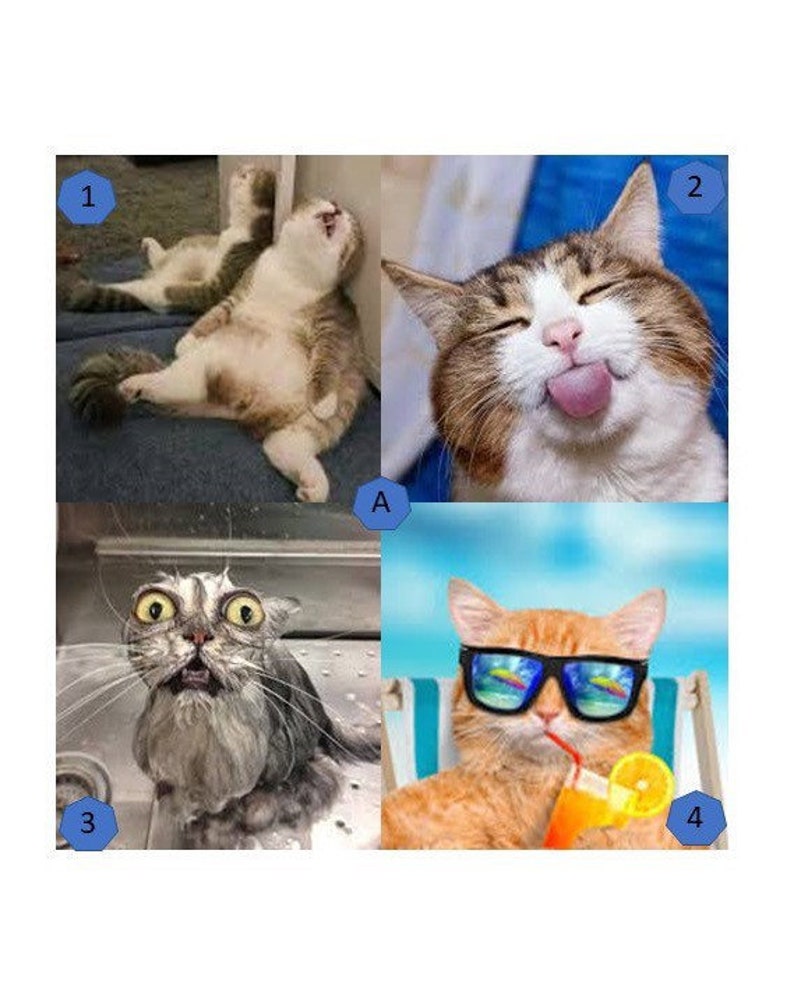 funny cat puzzles