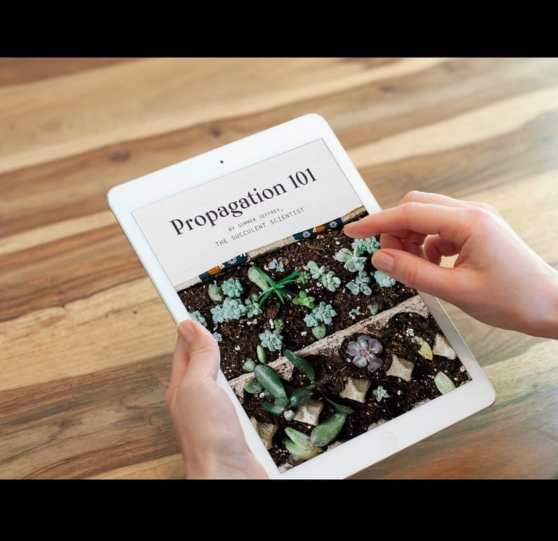 Propagation 101 PDF image 1