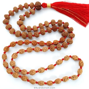 Può includere: Una collana di perline di mala in legno marrone con un fiocco rosso. Le perline sono infilate su un cordoncino rosso. La collana è disposta a forma di otto su uno sfondo bianco.