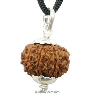 8 Mukhi Rudraksha Bead Pendant, Eight Face Rudraksha Silver Caps Pendant from Nepal, Energized Authentic 8 Mukhi Rudraksha Silver pendant