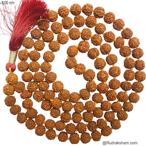 Original Rudraksha Mala 5 Mukhi Rudraksha mala Yoga and Meditation 108 Beads Rosary with Tassel in 4mm 5mm 6mm 7mm 8mm 9mm 12mm | Free Pouch