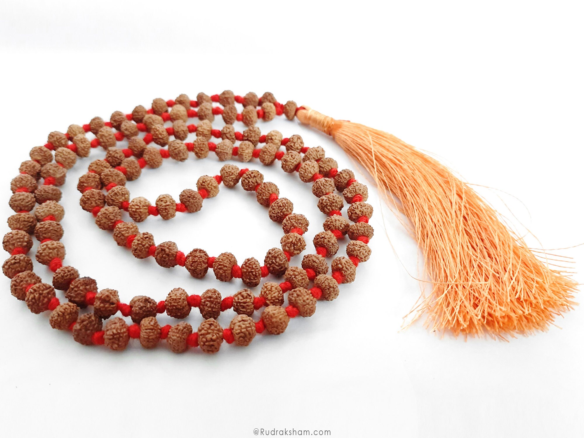 9ムキ(面)ルドラクシャ10mm1連Rudraksha(M) 9ムキ(面)ルドラクシャ10mm1連Rudraksha(M) - メルカリ