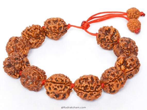Rudraksh Rudraksha 3 4 5 6 8 Mukhi Beads Mala Wrist Band Bracelet Rudraksha  Red Cord Bracelet Genuine Beads rudraksha Guru Bead Bracelet - Etsy